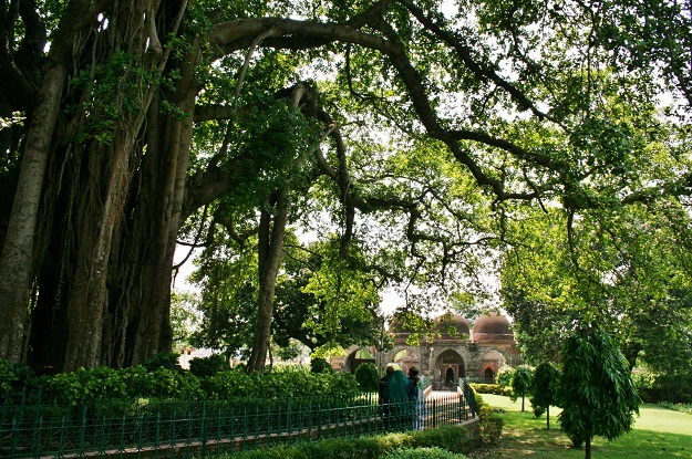 tomb and  mosque Zafar Khan Ghazi