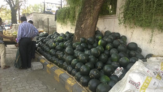 fruits nagpur