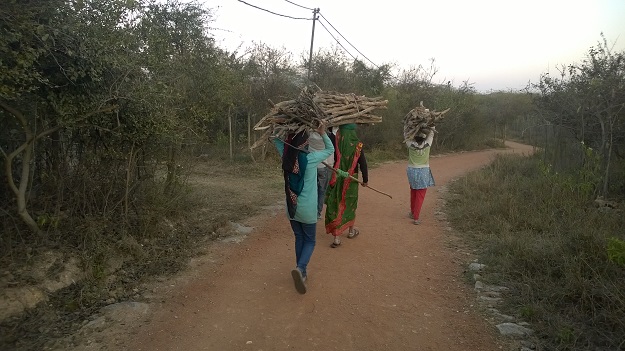 aravali biodiversity park in delhi