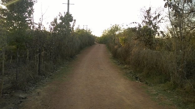 aravali biodiversity park vasant kunj