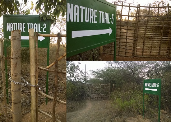 aravali biodiversity park