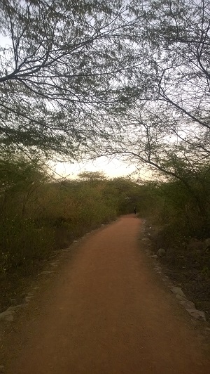 biodiversity park in delhi