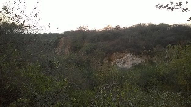 gorge inside aravali biodiversity park