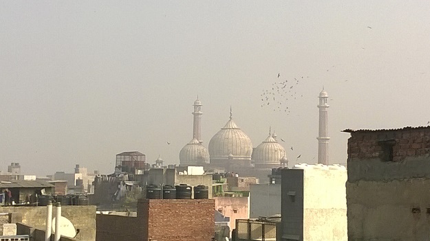 old delhi rooftops