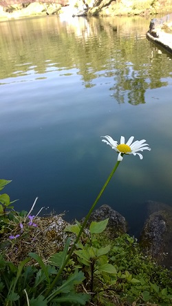 bhulla tal lake in lansdowne