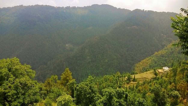 East view homestay balcony view