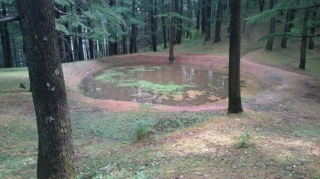 hilltop plateau in chail 