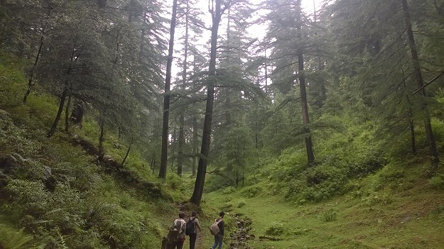 trekking in chail