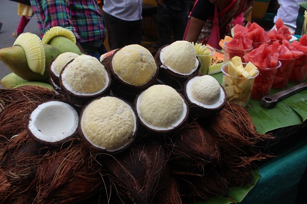 coconut sprouts