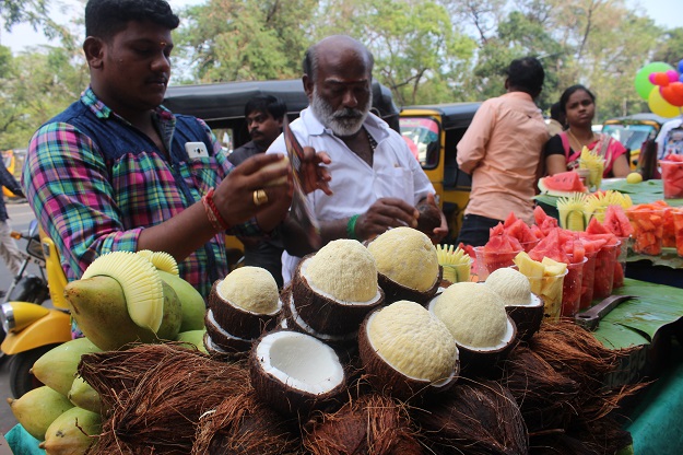 coconut sprout chennai